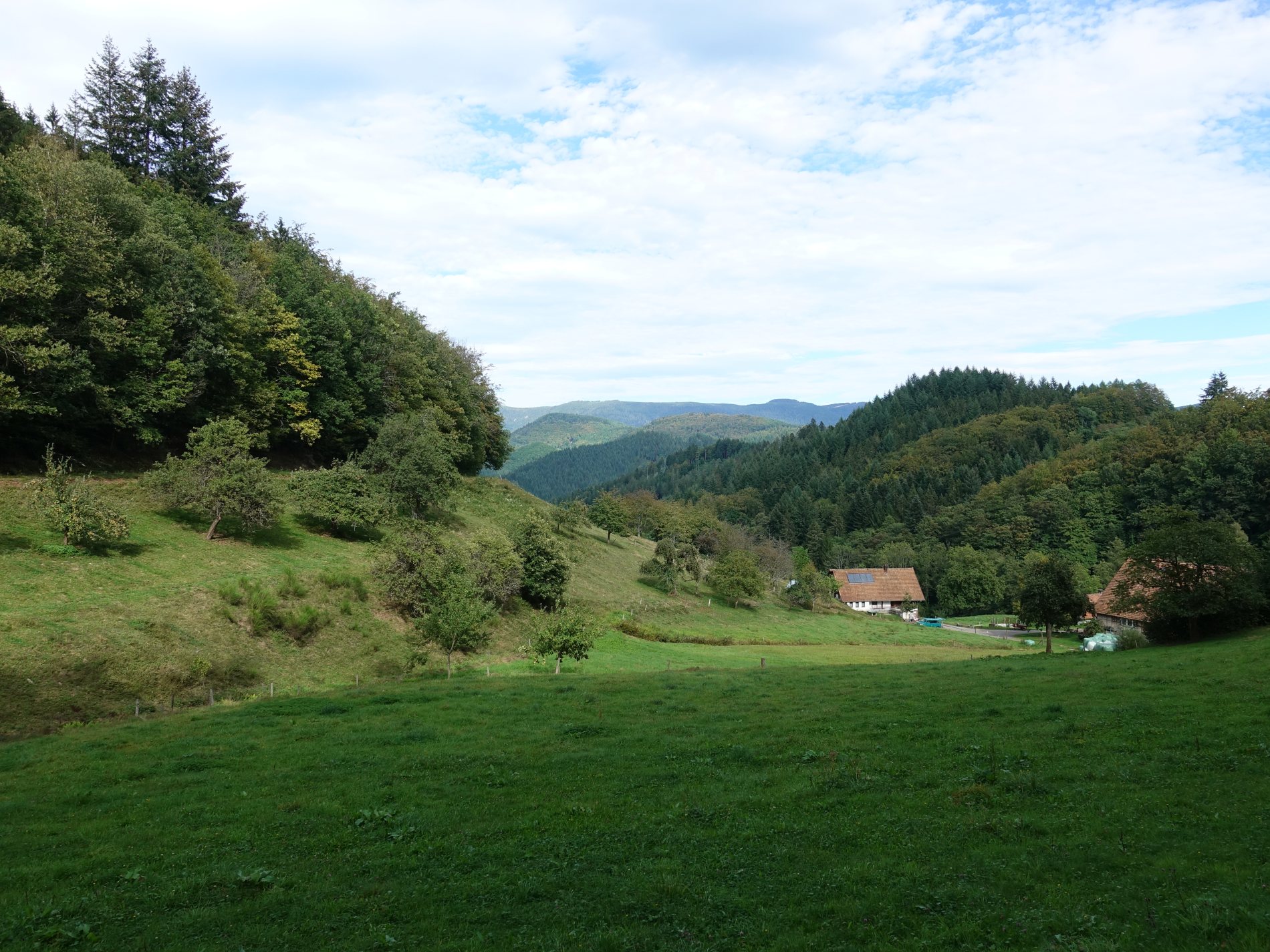 Unser Seminarort Berhardushof im Schwarzwald